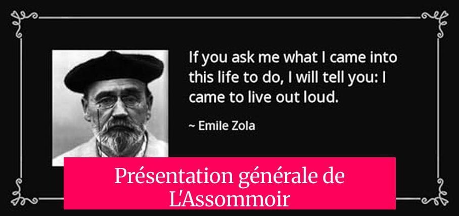 Présentation générale de L'Assommoir