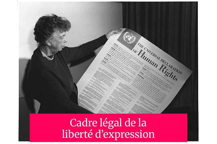 Cadre légal de la liberté d’expression