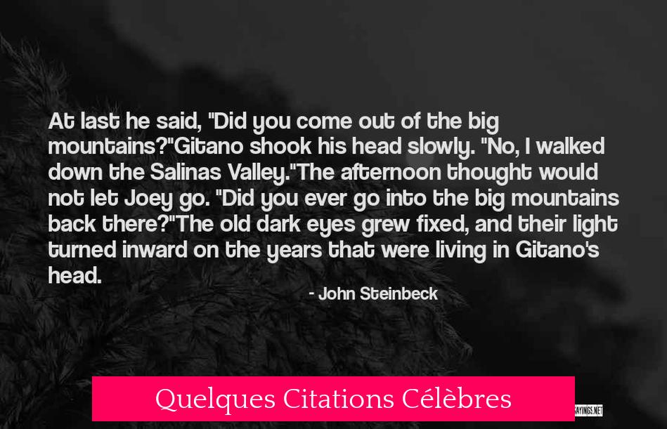 Quelques Citations Célèbres