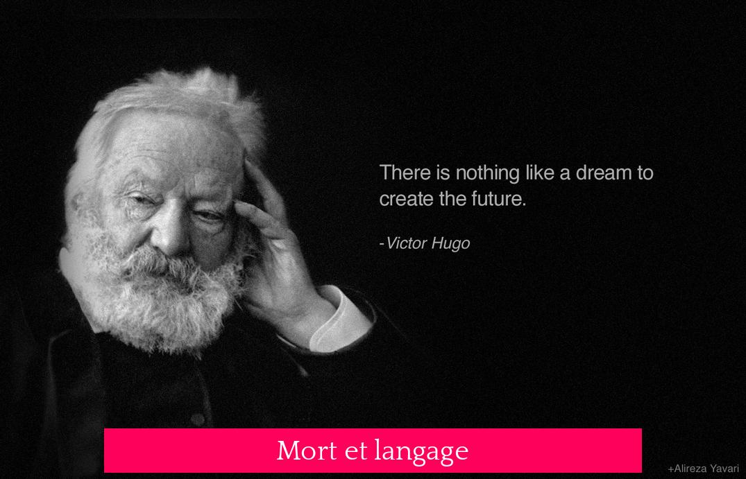 Mort et langage