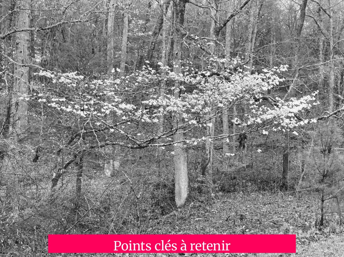 Points clés à retenir