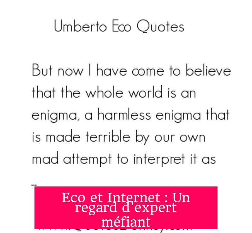Eco et Internet : Un regard d'expert méfiant