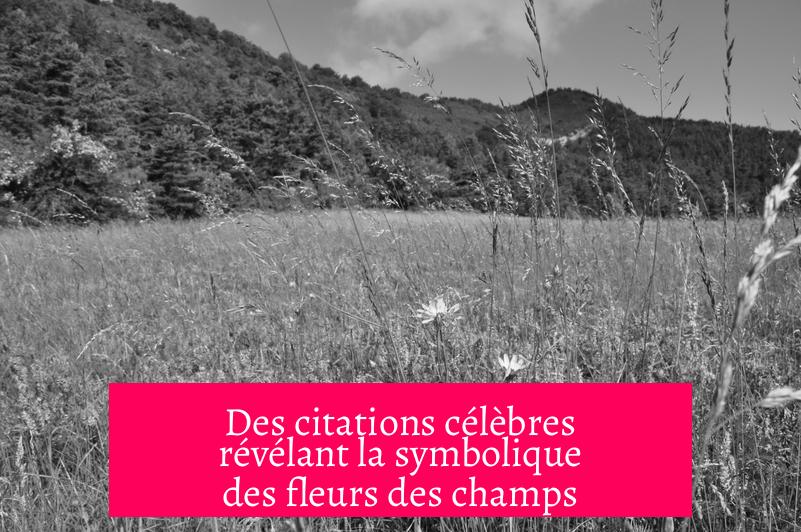 Des citations célèbres révélant la symbolique des fleurs des champs