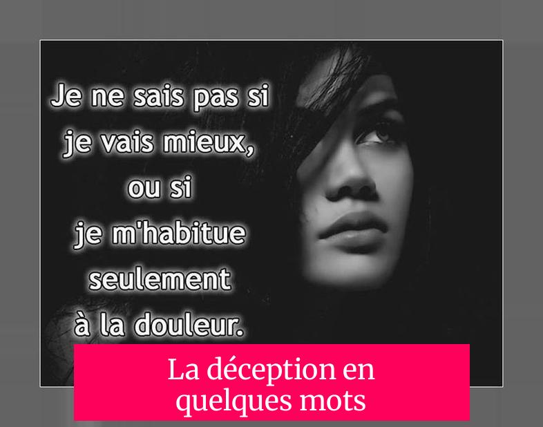 La déception en quelques mots