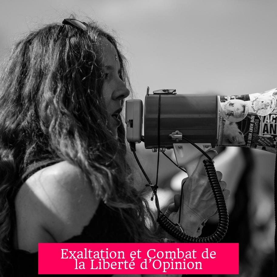 Exaltation et Combat de la Liberté d’Opinion
