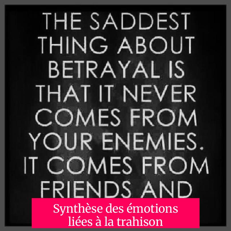 Synthèse des émotions liées à la trahison