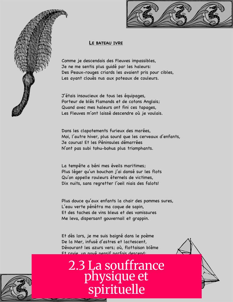 2.3 La souffrance physique et spirituelle