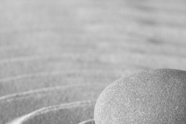 Le Bonheur selon la Philosophie Bouddhiste et Sagesse Zen : Citations et Clés Essentielles
