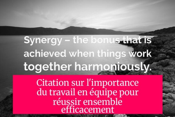 Citation sur l'importance du travail en équipe pour réussir ensemble efficacement