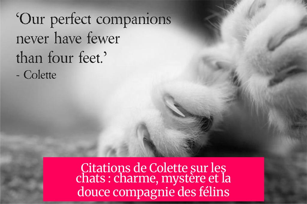 Citations de Colette sur les chats : charme, mystère et la douce compagnie des félins