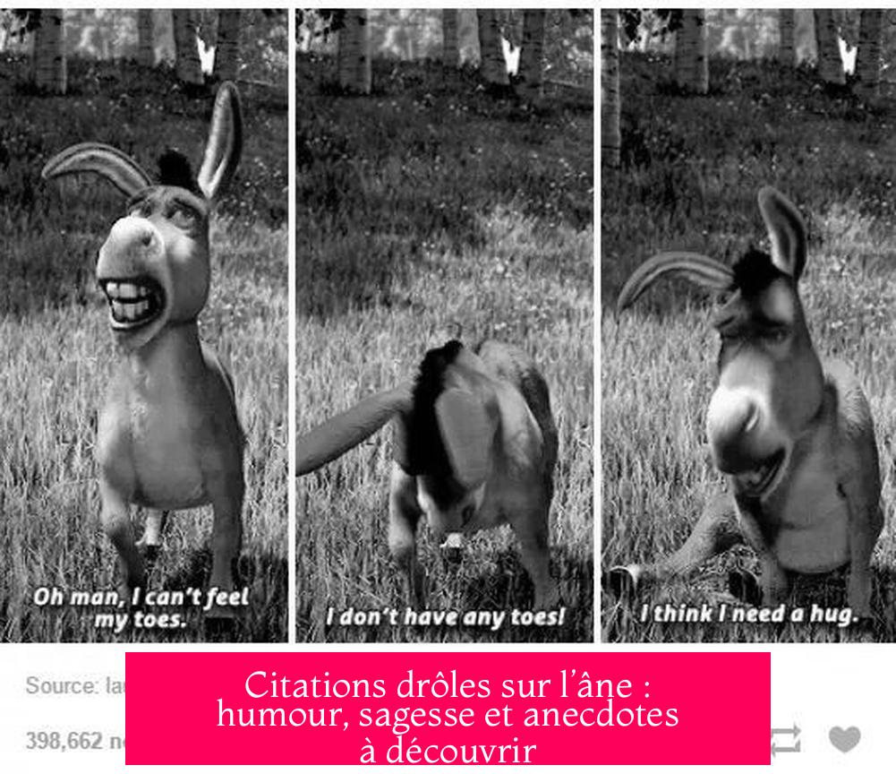 Citations drôles sur l’âne : humour, sagesse et anecdotes à découvrir