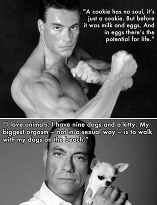 La citation de Jean-Claude Van Damme sur les cacahuètes et son message unique