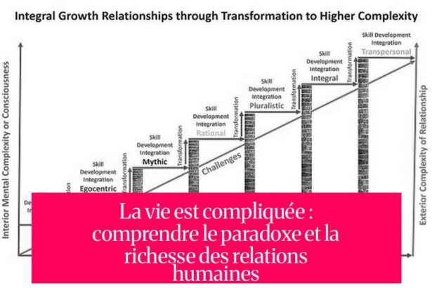 La vie est compliquée : comprendre le paradoxe et la richesse des relations humaines