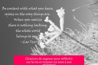 Citations de sagesse pour réfléchir sur la vie et trouver un sens à son existence