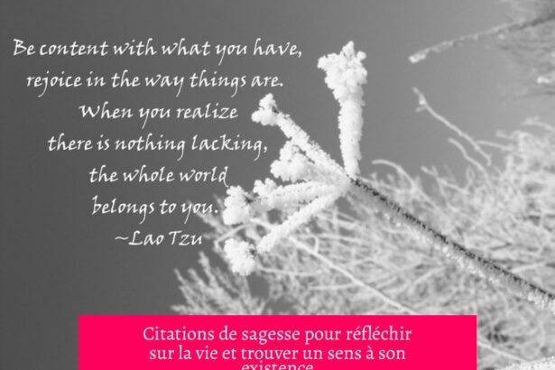 Citations de sagesse pour réfléchir sur la vie et trouver un sens à son existence