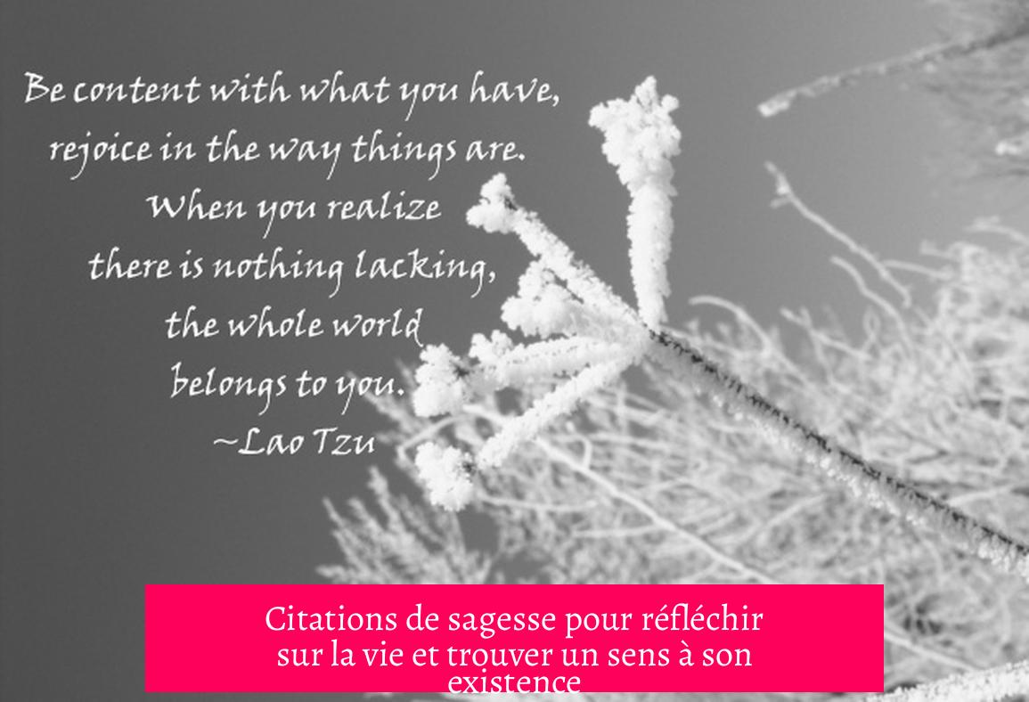 Citations de sagesse pour réfléchir sur la vie et trouver un sens à son existence