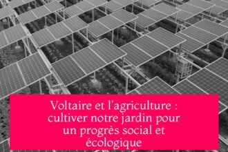 Voltaire et l'agriculture : cultiver notre jardin pour un progrès social et écologique