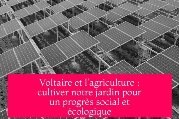 Voltaire et l'agriculture : cultiver notre jardin pour un progrès social et écologique