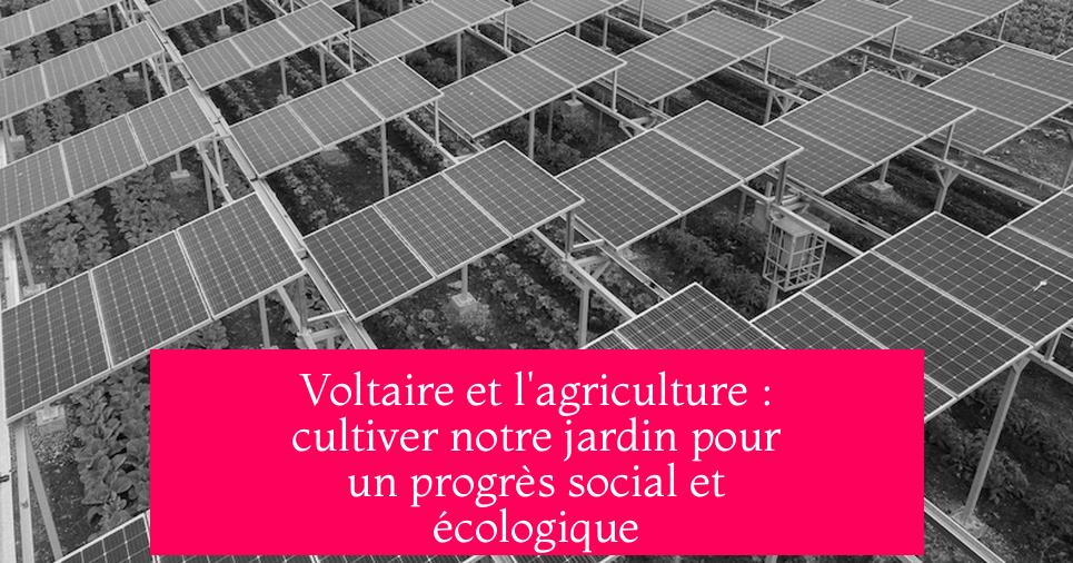 Voltaire et l'agriculture : cultiver notre jardin pour un progrès social et écologique