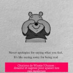 Citations de Winnie l'Ourson : douceur et sagesse pour apaiser nos vies modernes
