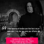 Citations de Harry Potter 1 : Guide complet pour citer "Harry Potter à l'école des sorciers"