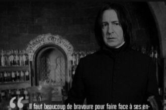 Citations de Harry Potter 1 : Guide complet pour citer "Harry Potter à l'école des sorciers"