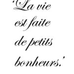 Citations Populaires Françaises : Un Répertoire d'Expressions pour Élever vos Conversations