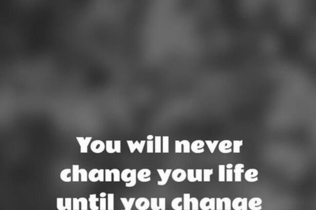 Citations Positives et Encouragement : Boostez Votre Moral avec des Mots Inspirants