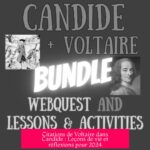 Citations de Voltaire dans Candide : Leçons de vie et réflexions pour 2024