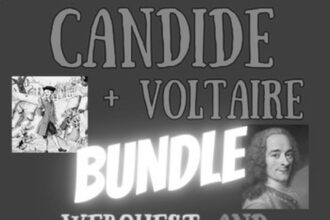 Citations de Voltaire dans Candide : Leçons de vie et réflexions pour 2024