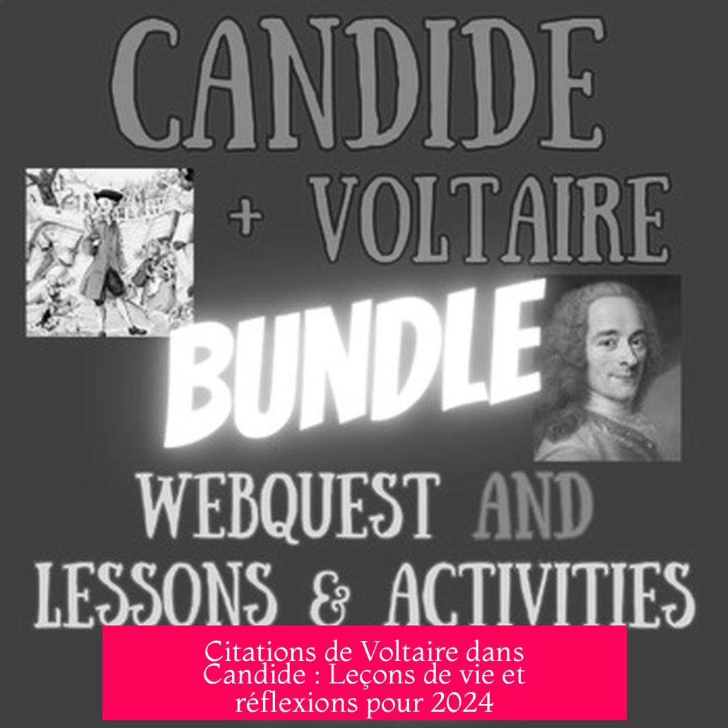 Citations de Voltaire dans Candide : Leçons de vie et réflexions pour 2024