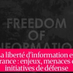 La liberté d'information en France : enjeux, menaces et initiatives de défense