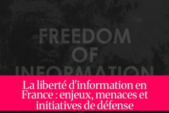 La liberté d'information en France : enjeux, menaces et initiatives de défense