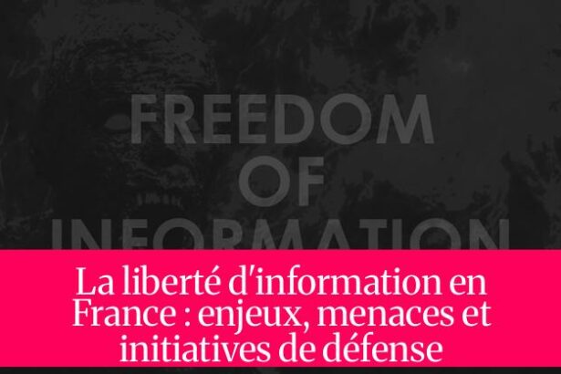 La liberté d'information en France : enjeux, menaces et initiatives de défense