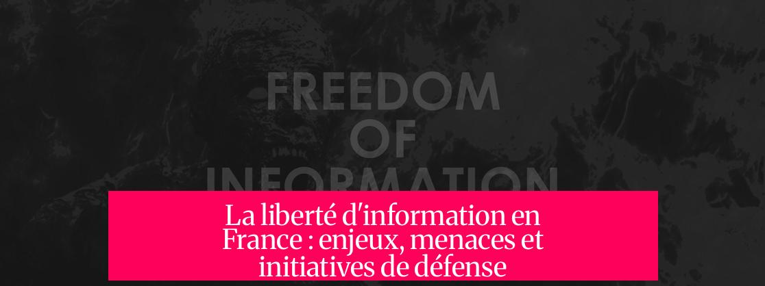 La liberté d'information en France : enjeux, menaces et initiatives de défense