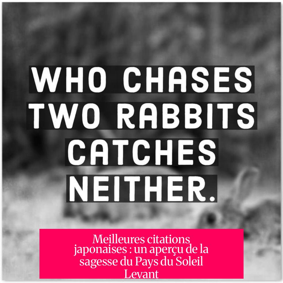 Meilleures citations japonaises : un aperçu de la sagesse du Pays du Soleil Levant