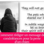 Comment rédiger un message de condoléances pour la perte d'un chien