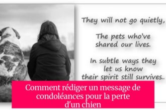 Comment rédiger un message de condoléances pour la perte d'un chien