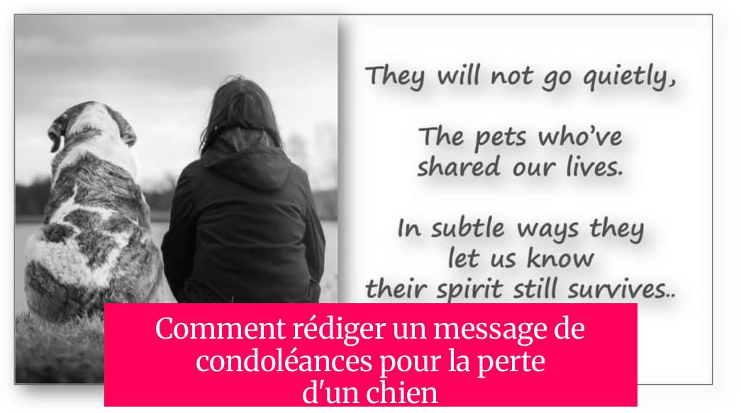 Comment rédiger un message de condoléances pour la perte d'un chien