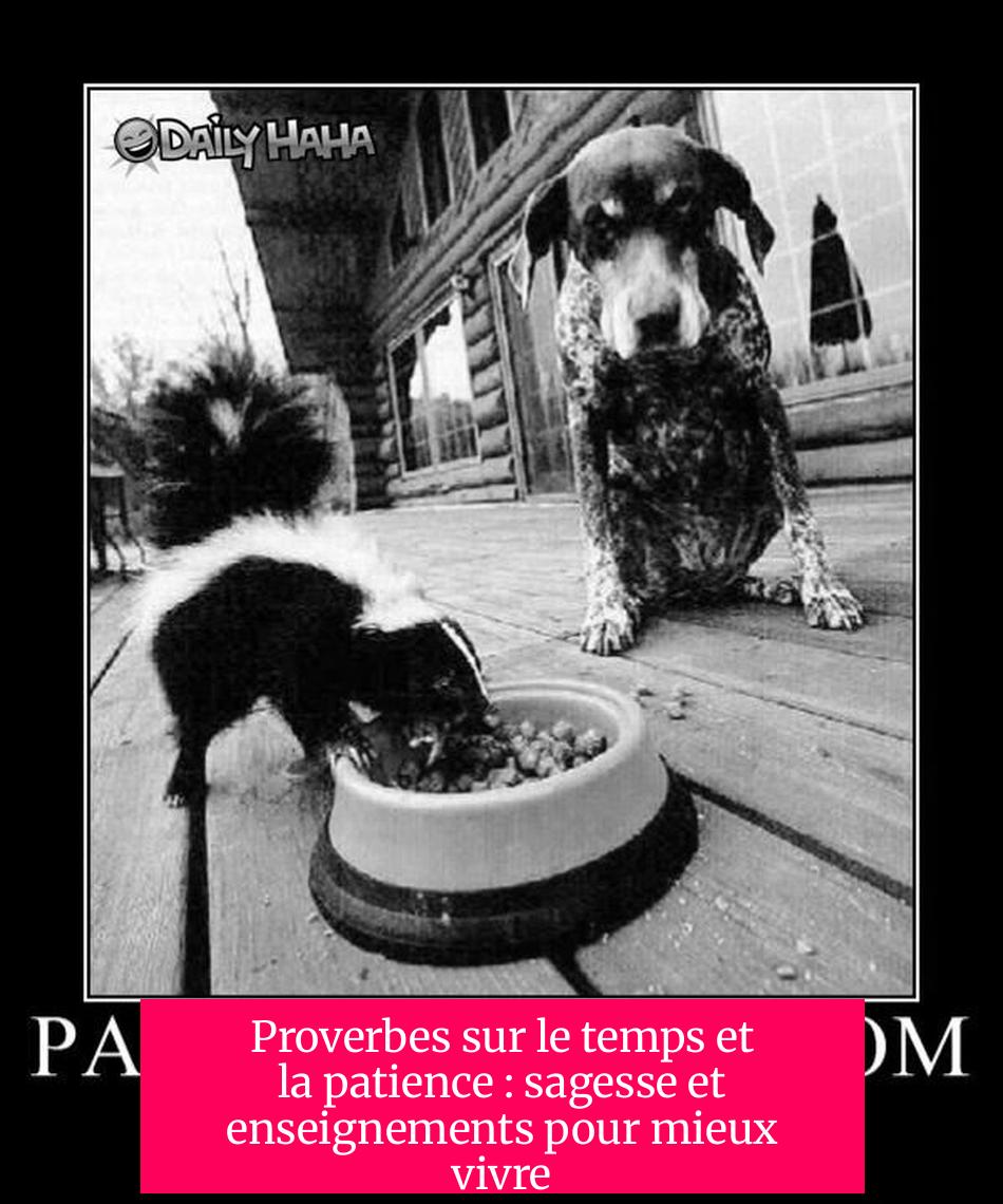 Proverbes sur le temps et la patience : sagesse et enseignements pour mieux vivre