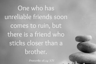Proverbes sur les Amis et la Famille : Valeurs et Relations Essentielles