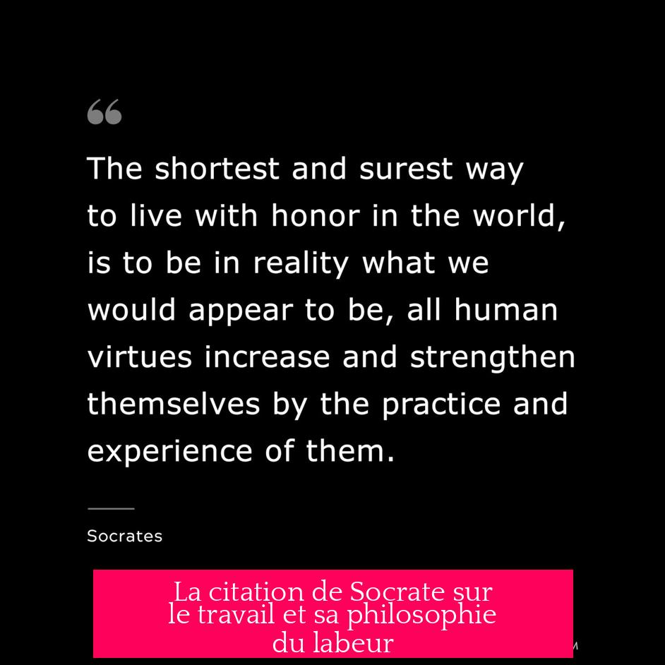 La citation de Socrate sur le travail et sa philosophie du labeur