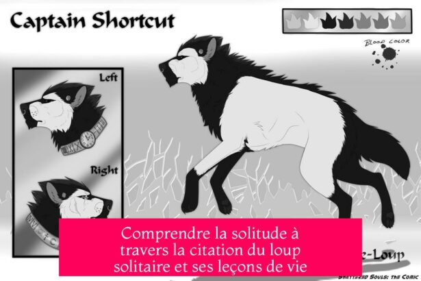 Comprendre la solitude à travers la citation du loup solitaire et ses leçons de vie