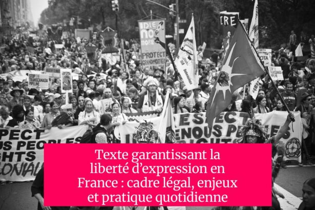 Texte garantissant la liberté d’expression en France : cadre légal, enjeux et pratique quotidienne