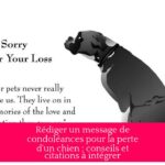 Rédiger un message de condoléances pour la perte d'un chien : conseils et citations à intégrer