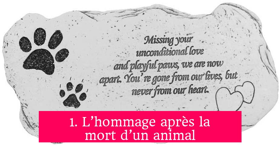 1. L’hommage après la mort d’un animal