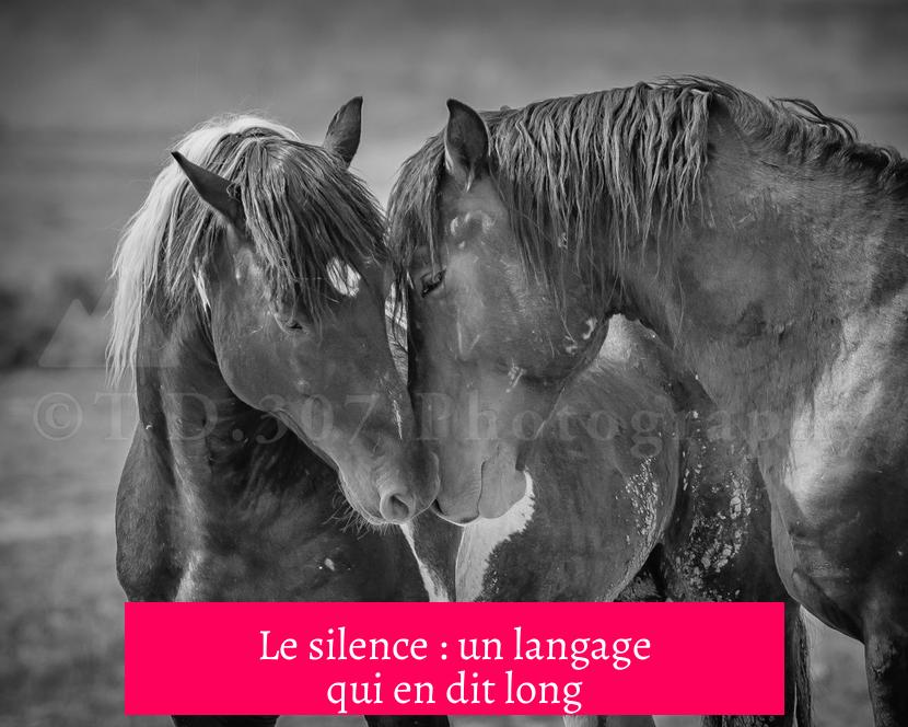 Le silence : un langage qui en dit long
