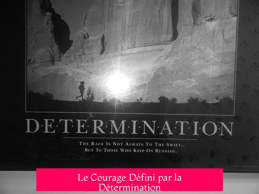 Le Courage Défini par la Détermination