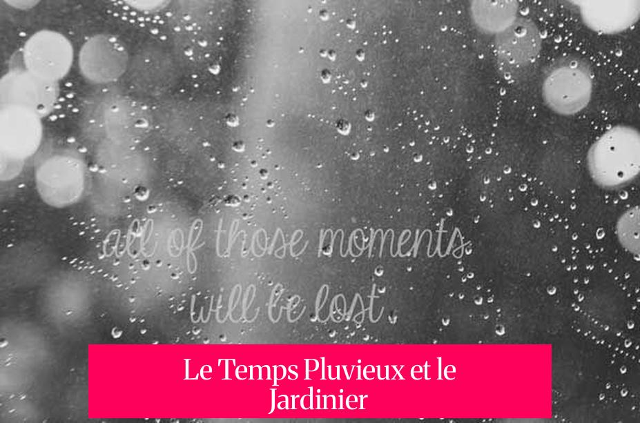 Le Temps Pluvieux et le Jardinier