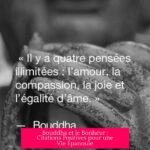 Bouddha et le Bonheur : Citations Positives pour une Vie Épanouie